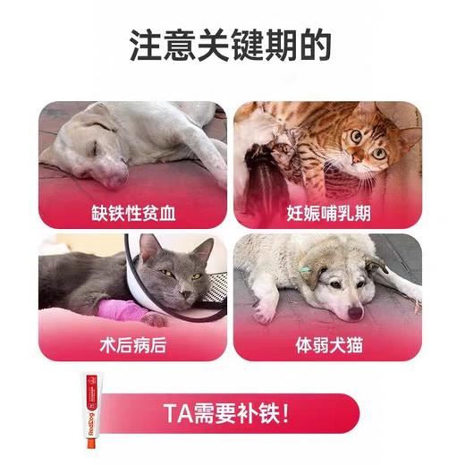 【新】RedDog红狗补血膏宠物调理贫血术后身体补剂120g 商品图1