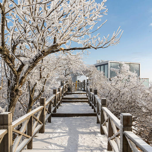 【热血开滑🏂】云上草原官方度假酒店，1间1晚/1间2晚自由选，12月30日前可用 商品图8