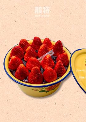 洋瓷盆草莓4寸