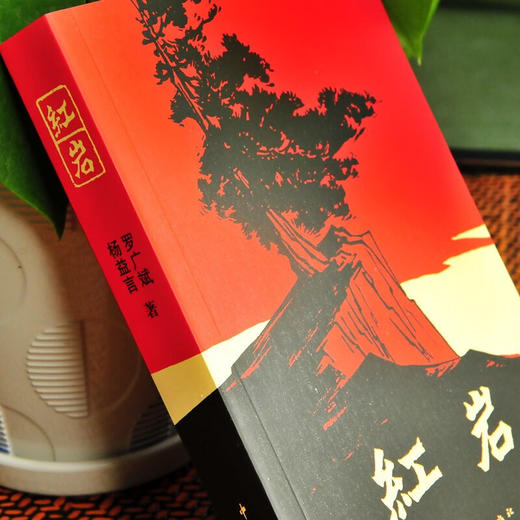 红岩 商品图2