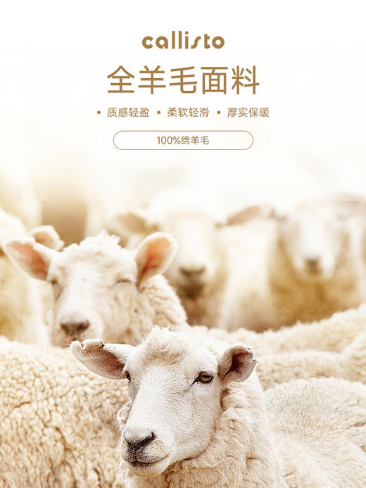 callisto两色可选绵羊毛毛衣 商品图3