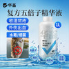 华畜复方五倍子水产专用白毛水霉病鱼塘出血烂鳃止血收敛腐皮烂身 商品缩略图0