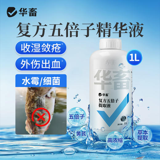 华畜复方五倍子水产专用白毛水霉病鱼塘出血烂鳃止血收敛腐皮烂身 商品图0
