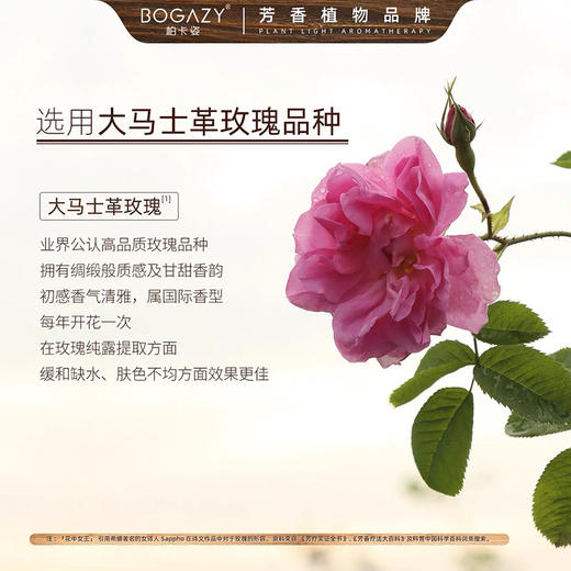 【正品承诺】柏卡の姿！大马士革玫瑰纯露 保湿爽肤亮肤补水湿敷 商品图5