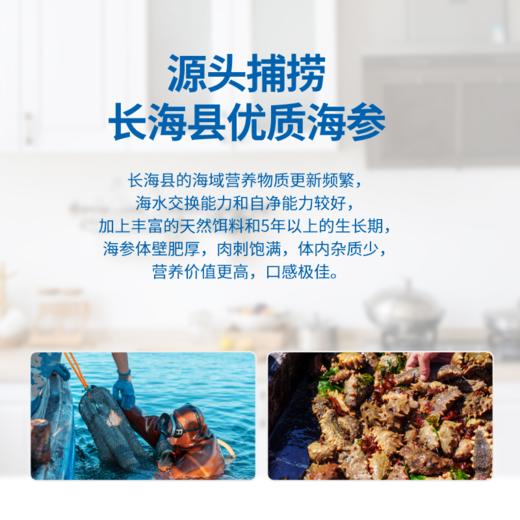 华知宝【鲜炖海参】活参加工  非水发即食海参  开盖即食 常温保存 顺丰包邮 商品图5