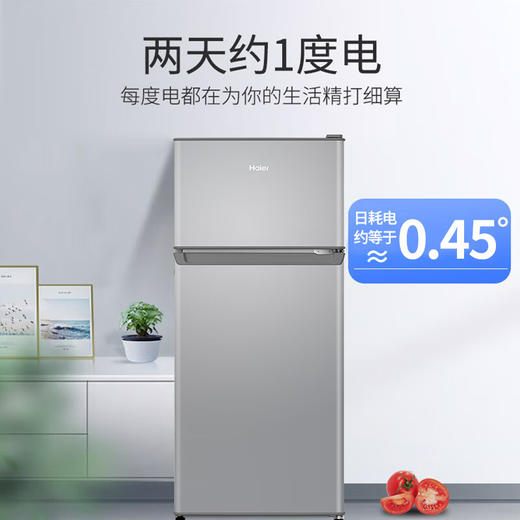 海尔（Haier）冰箱小型双开门家用小冰箱租房用冷藏冷冻两用1-2人118升小户型宿舍二门电冰箱迷你超薄办公室 118升双开门小冰箱 商品图2