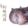 壮元海即食辽刺参大个头组合 500g（6-8头）*3袋，固形物≥80%，送虾仁200g*2袋 商品缩略图4