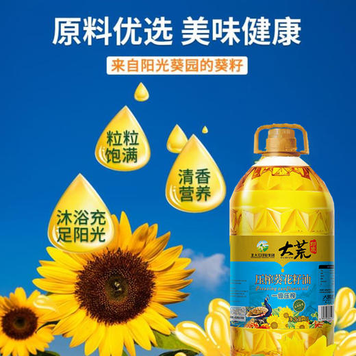 大荒印象一级压榨葵花籽油5L 商品图3