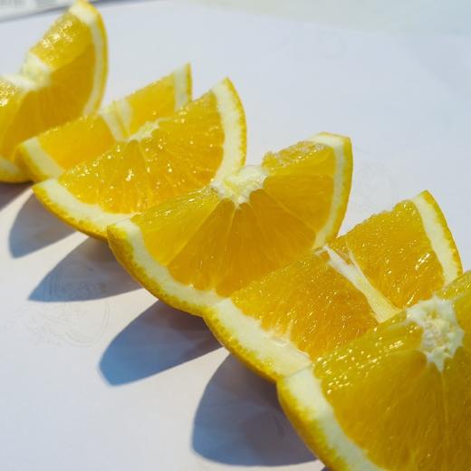 【送礼佳品】迪士尼好奇橙一箱10斤 商品图3