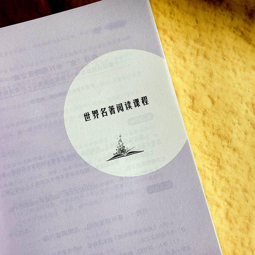 整本书阅读的课程化 大夏书系 闫学 阅读教育 启读 赏读 创读 商品图9
