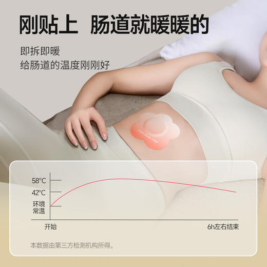 元气地带艾脐丸肚脐贴 商品图4