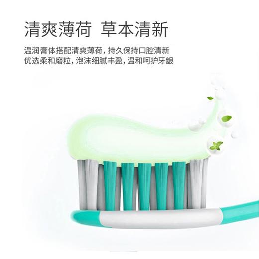冷酸灵清火抗敏牙膏 固齿护龈抗敏感牙膏 美白抗敏牙膏 海盐沁爽牙膏 商品图3