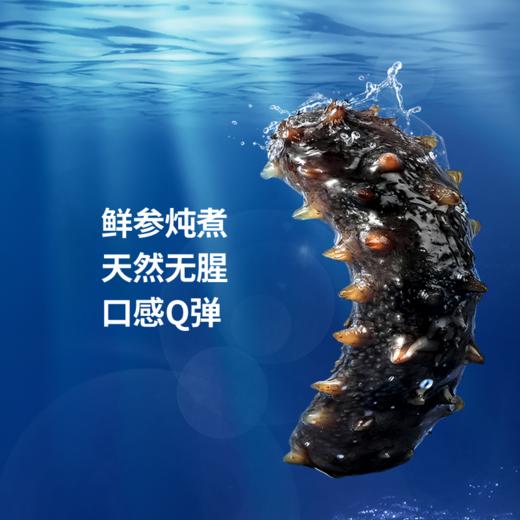 华知宝【鲜炖海参】活参加工  非水发即食海参  开盖即食 常温保存 顺丰包邮 商品图4