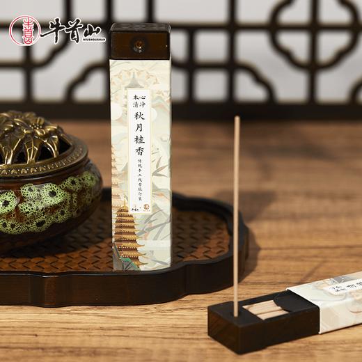 牛首山本心清净传统手工线香旅行装敦煌风卧室内香薰家用睡眠香氛 商品图1