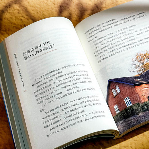 教育的100种语言 丹麦教育见闻 第二版 大夏书系 李镇西 商品图11