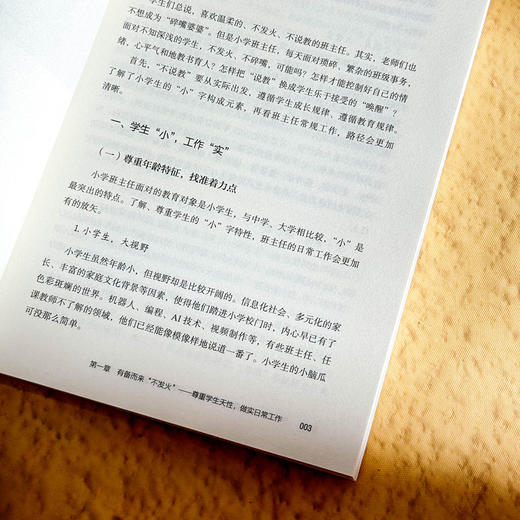 不发火 不说教 也能带好班 小学班主任工作智慧 大夏书系 商品图9