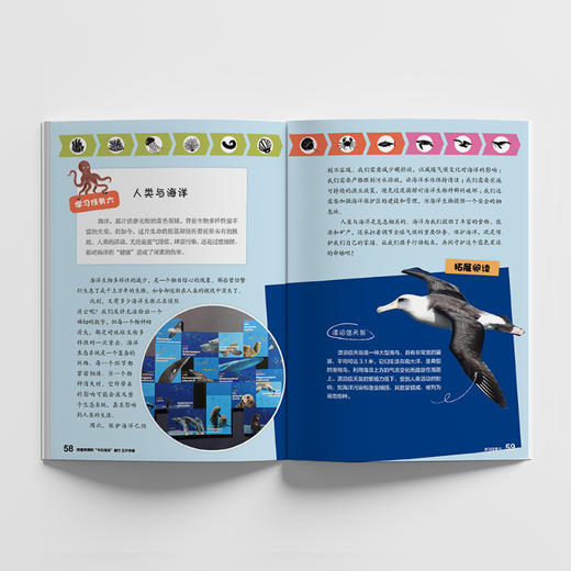 【8岁+】迷你博物馆 搭建海博的“今日海洋”展厅+设计海博的“龙的时代”展厅 手绘插画 儿童科普读物 商品图3