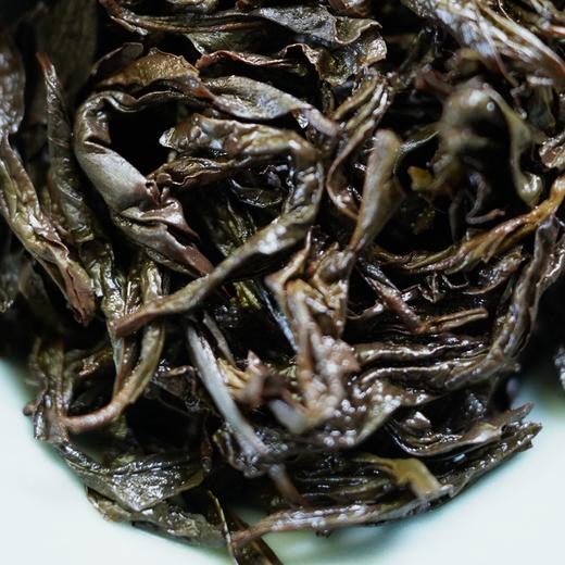 风起武夷|2024年岩茶品鉴专辑 正岩坑涧水仙肉桂名丛 [密室鉴藏] 商品图2