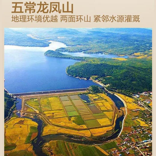 大荒印象五常大米稻花香2号大米5kg 商品图5