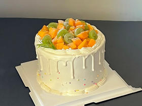 水果蛋糕XG11