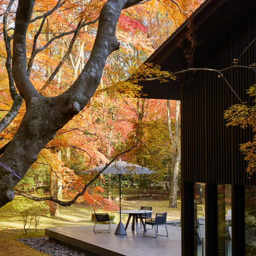 〖特价房有限·先拍后约〗【日本】Aman Kyoto | 安缦京都·隐秘森林中的禅意天堂（特价房数量有限，请详询客服查房态） 商品图1