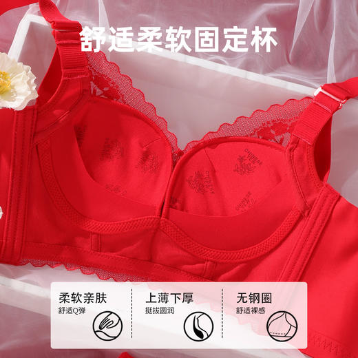 雅黛丽红色内衣女本命年小胸聚拢套装性感蕾丝无钢圈文胸2024新款 商品图2