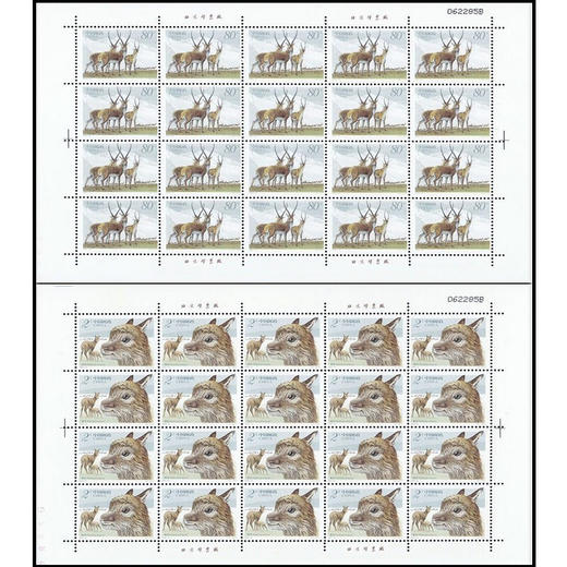 《藏羚羊》特种邮票 2003-12 商品图2
