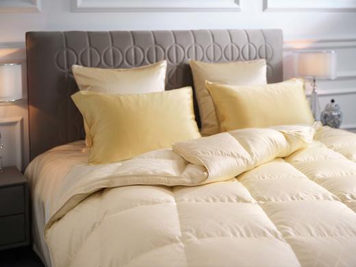 皇锦1200g加厚95绒双人进口匈牙利鹅绒暖冬被芯HJ11696 商品图3