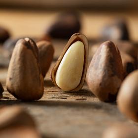 菜菜家笨炒松子/榛子|饱满油润脆嫩，笨炒非油炸