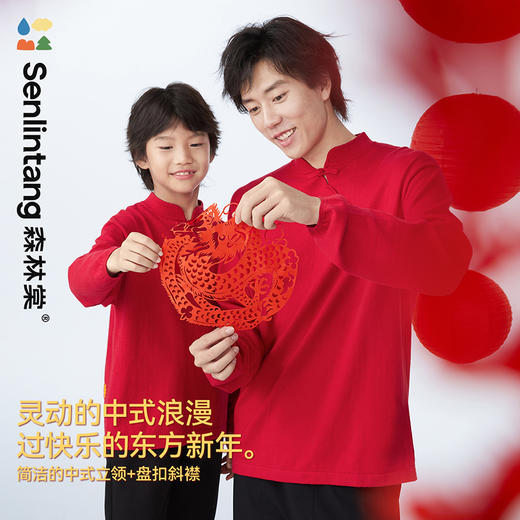 【清仓款】森林棠新年限定主题款新中式盘扣斜襟小立领毛衣80612403 商品图1