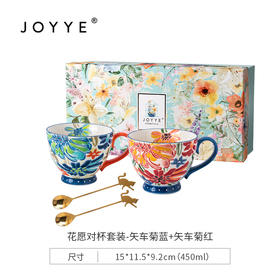 中国JOYYE套4花愿对杯套装混色水杯