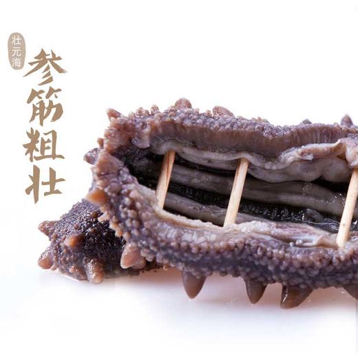壮元海即食辽刺参大个头组合 500g（6-8头）*3袋，固形物≥80%，送虾仁200g*2袋 商品图2