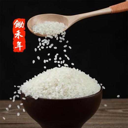 2024新米上市36.9元5公斤盘锦碱地蟹田米蟹稻共生执行标准GB\T18824 商品图4