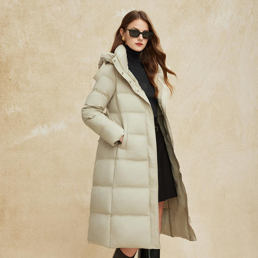 PR009斯尔丽2024冬季新款显瘦收腰长款简约通勤连帽轻盈鸭绒羽绒服 商品图5