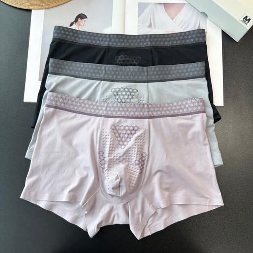 SUNJ060男士功能性内裤 商品图3