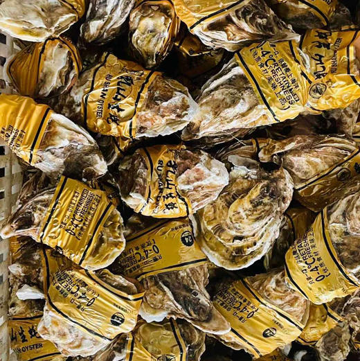 乳山生蚝5斤装顺丰快递包邮下单从山东发货 商品图6