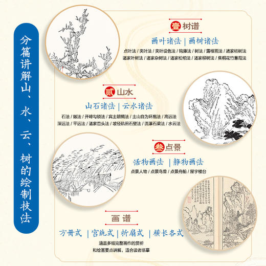 芥子园画传（全彩白话图解版）山水云树 国画*基础入门教程 国画小白自学 白描临摹画画描摹本 商品图2
