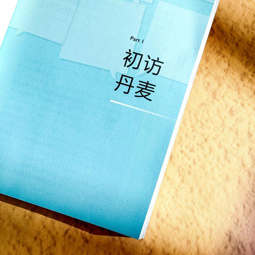 教育的100种语言 丹麦教育见闻 第二版 大夏书系 李镇西 商品图7