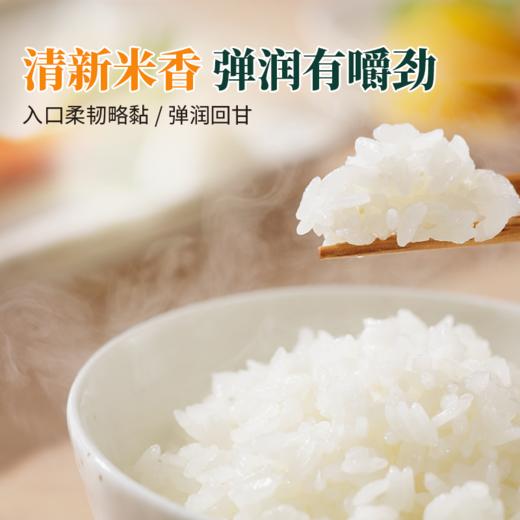 邻家饭香 东北大米 长粒香米 5kg每袋 真空双层包装 LJFX86-C 商品图2