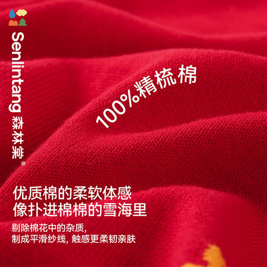 【清仓款】森林棠新年限定主题款新中式盘扣斜襟小立领毛衣80612403 商品图5