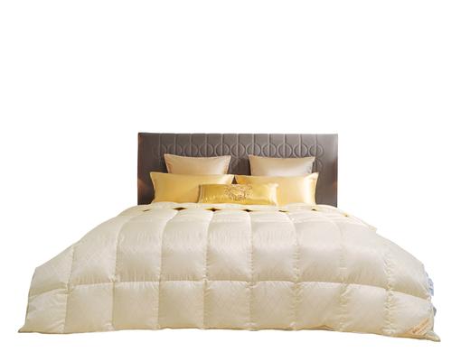 皇锦1200g加厚95绒双人进口匈牙利鹅绒暖冬被芯HJ11696 商品图2