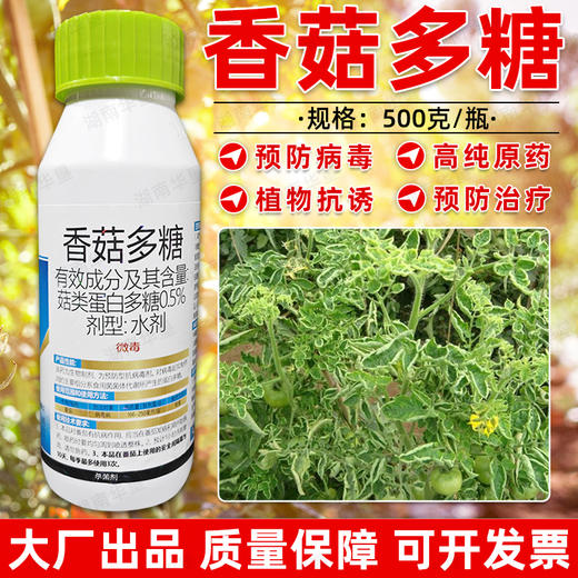 圣鹏速停香菇多糖番茄瓜果病毒病专用杀菌剂抑制病毒抗病正品农用 商品图1