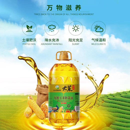 大荒印象一级压榨玉米胚芽油5L 商品图2