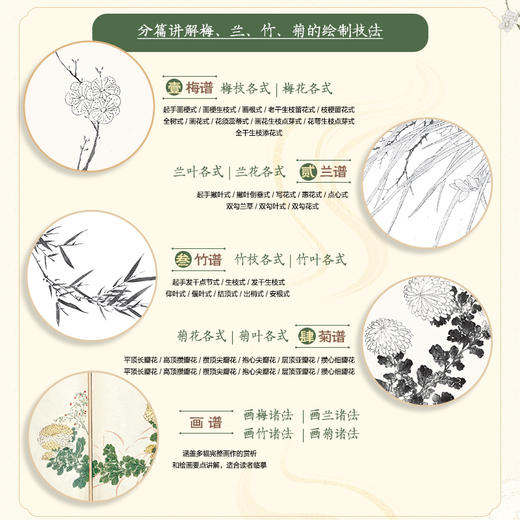 芥子园画传（全彩白话图解版）梅兰竹菊 国画*基础入门教程 国画小白自学 白描临摹画画描摹本 商品图2