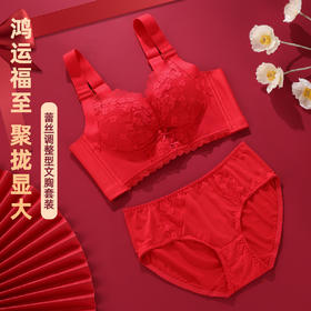 雅黛丽红色内衣女本命年小胸聚拢套装性感蕾丝无钢圈文胸2024新款