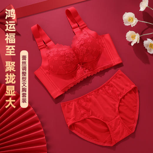 雅黛丽红色内衣女本命年小胸聚拢套装性感蕾丝无钢圈文胸2024新款 商品图0