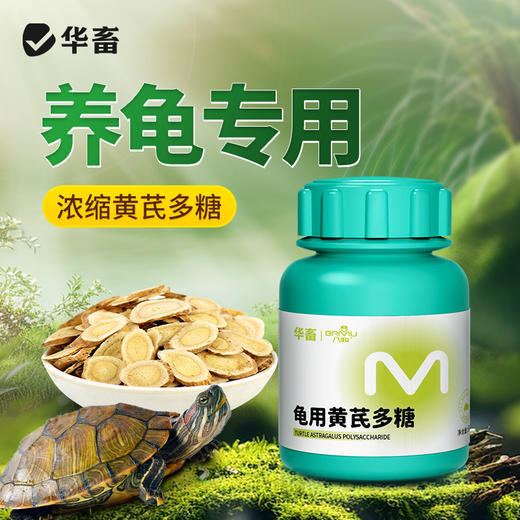 华畜黄芪多糖辅助治疗巴西草龟鳄龟感冒拉稀精神不好调理肠胃龟用 商品图1