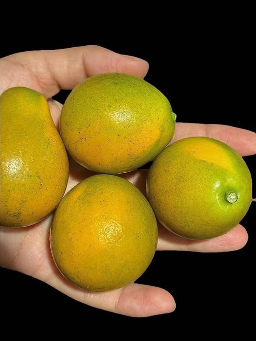 蜜蛋金柑  改良品种 当之无愧千里挑一 脆嫩多汁 皮软软肉甜甜 润嗓又刮油！ 商品图2