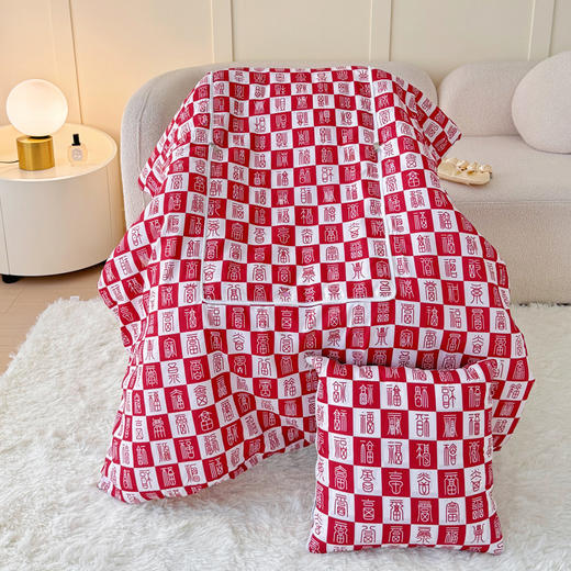 无印良品“满福”大豆纤维抱枕被 商品图2