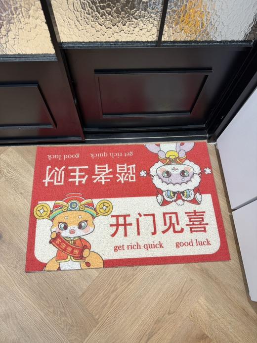 【YOOHOPE卡通蛇年8入户门垫】各种款式任选 新一年的仪式感，当然要从入户门垫开始 刮灰✅防滑✅不卡门✅可自由剪裁✅颜值在线🔜满足你的地垫的所有需求💯 商品图5